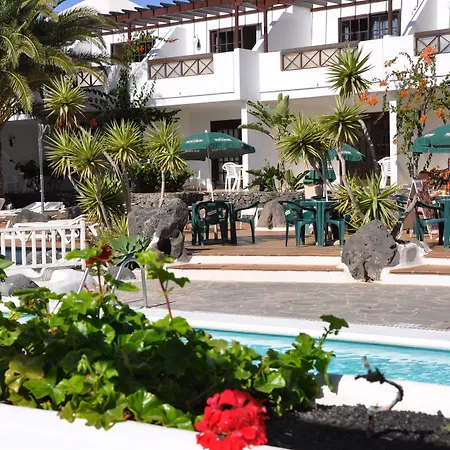 Tulipanes Puerto del Carmen (Lanzarote)