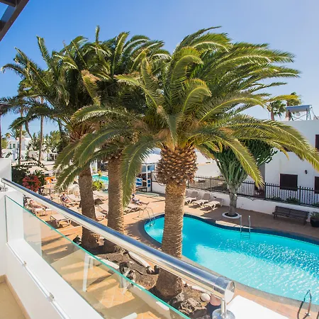 Tulipanes Puerto del Carmen (Lanzarote)