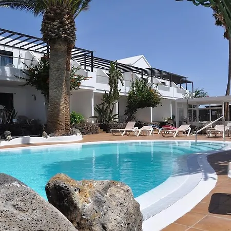 Tulipanes Puerto del Carmen (Lanzarote)