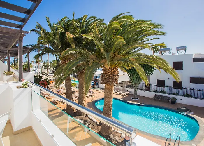 Tulipanes Puerto del Carmen (Lanzarote)