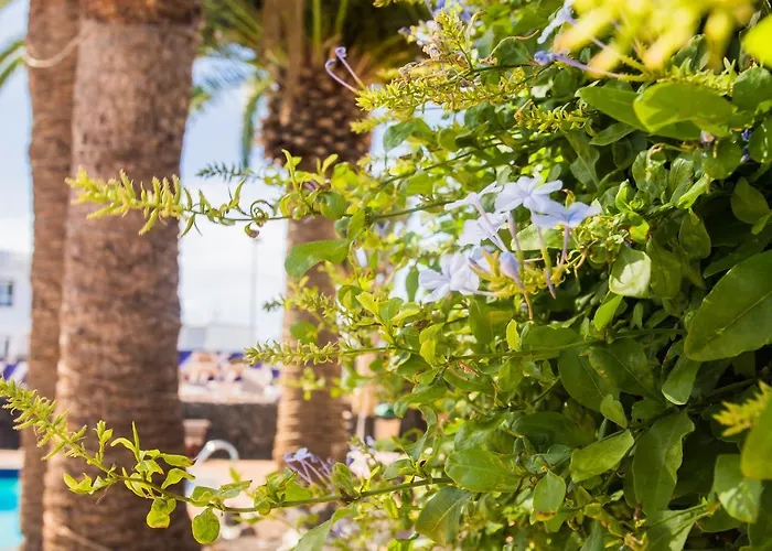 Aparthotel Tulipanes Puerto del Carmen (Lanzarote)